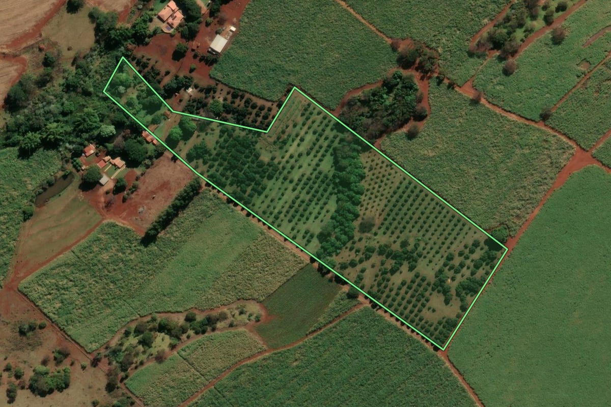 Imagem de satélite do imóvel rural em Jardinópolis (SP), com o contorno declarado no CAR desenhado por cima.