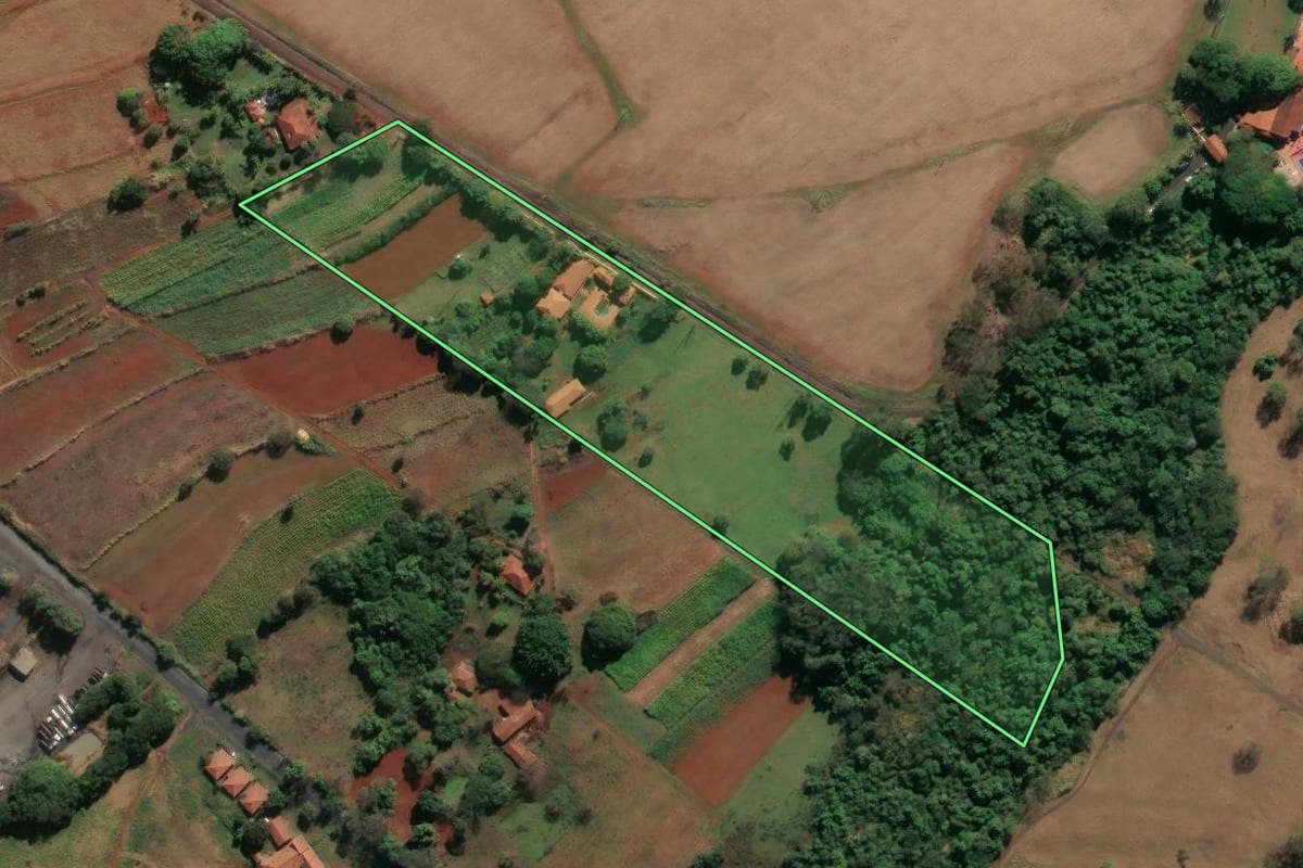 Imagem de satélite do imóvel rural em Jardinópolis (SP), com o contorno declarado no CAR desenhado por cima.