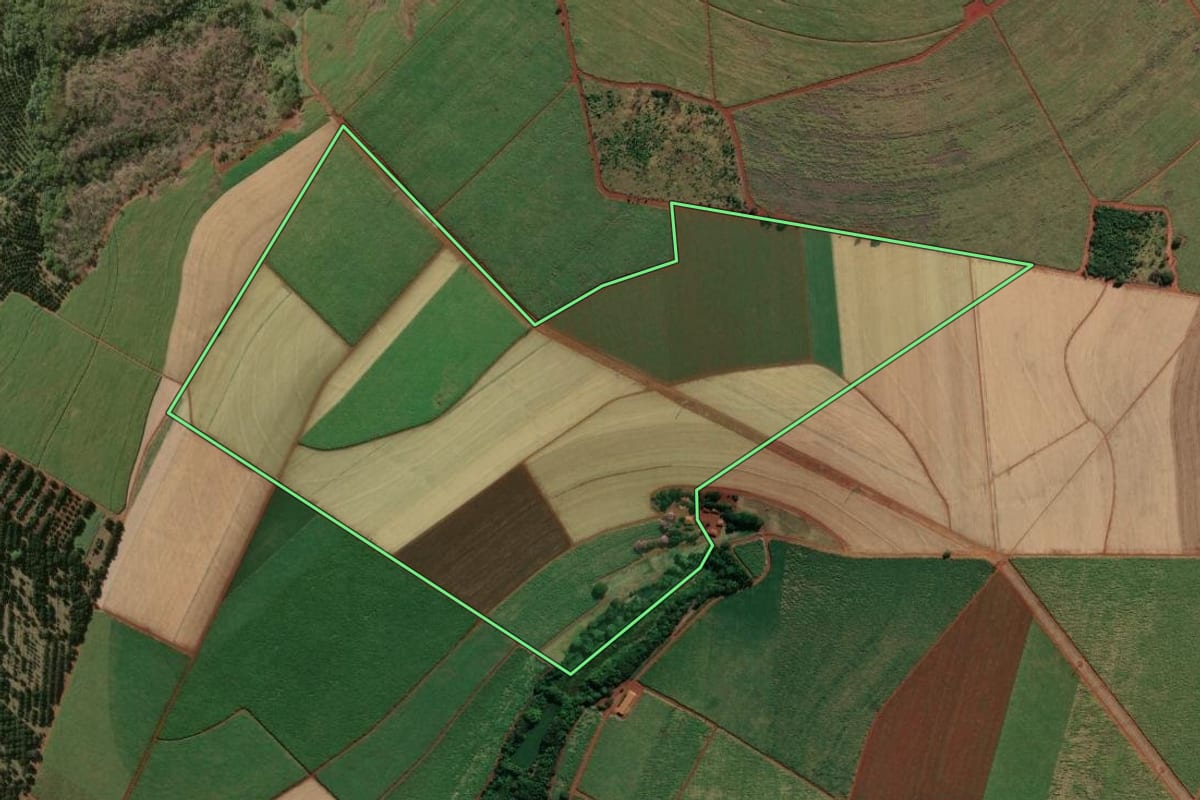 Imagem de satélite do imóvel rural em Jardinópolis (SP), com o contorno declarado no CAR desenhado por cima.