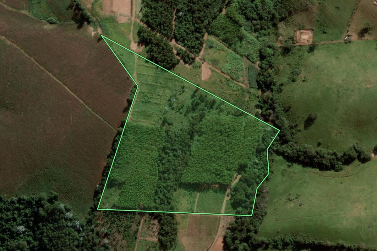 Imagem de satélite do imóvel rural em Jarinu (SP), com o contorno declarado no CAR desenhado por cima.