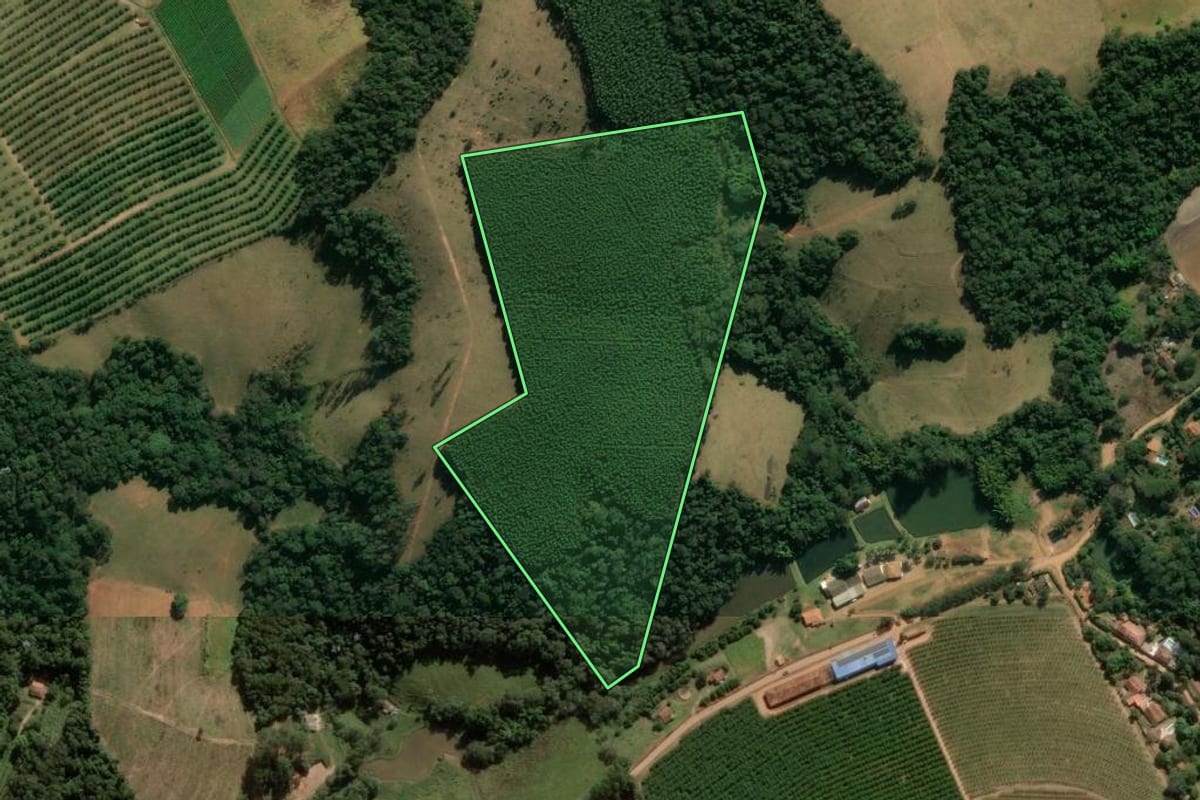 Imagem de satélite do imóvel rural em Jarinu (SP), com o contorno declarado no CAR desenhado por cima.