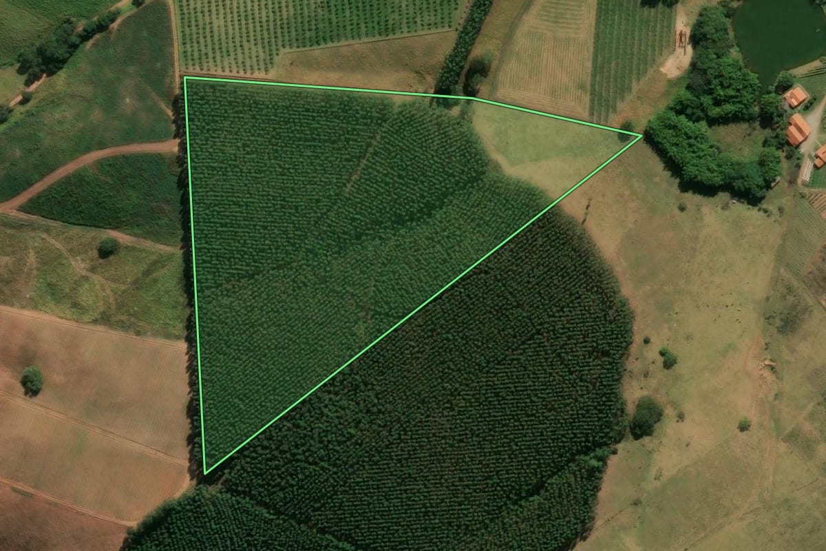 Imagem de satélite do imóvel rural em Jarinu (SP), com o contorno declarado no CAR desenhado por cima.