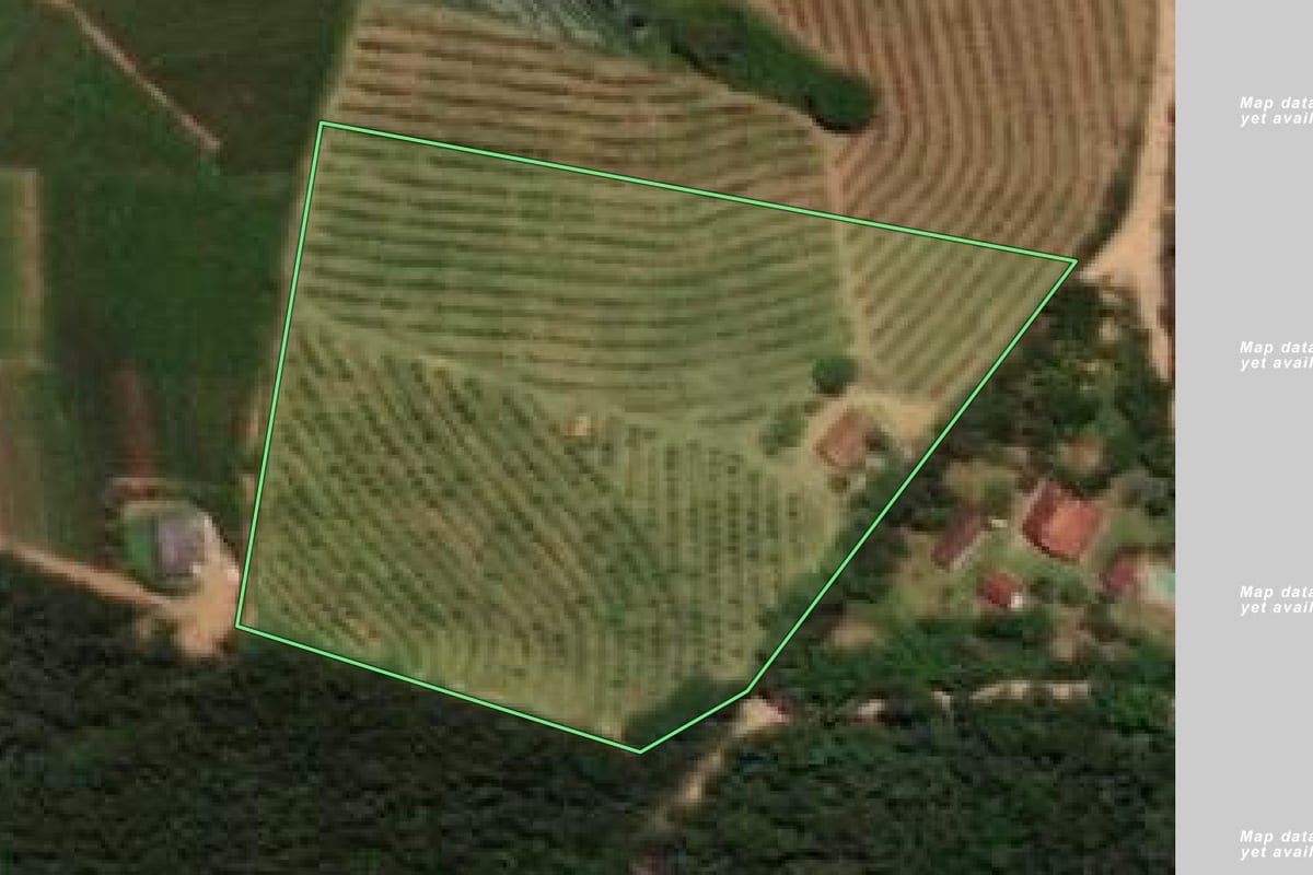 Imagem de satélite do imóvel rural em Jarinu (SP), com o contorno declarado no CAR desenhado por cima.