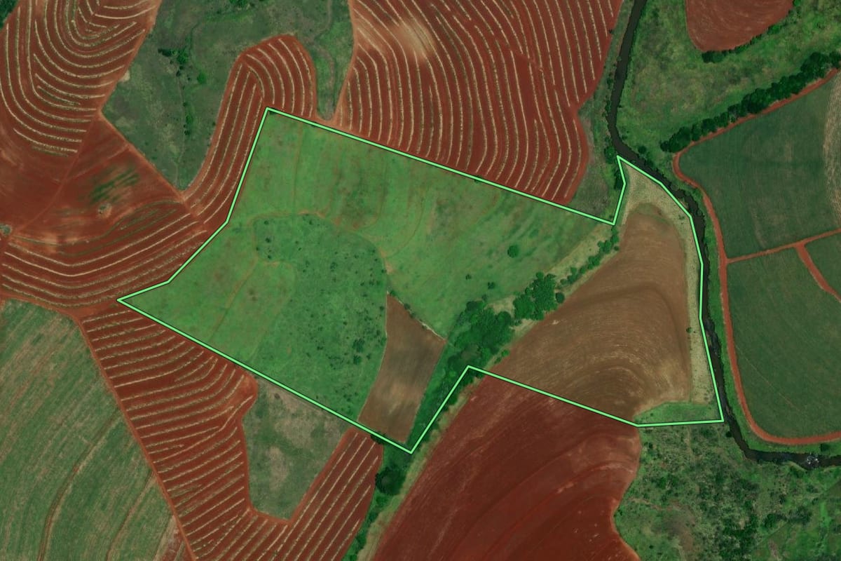 Imagem de satélite do imóvel rural em Jaú (SP), com o contorno declarado no CAR desenhado por cima.
