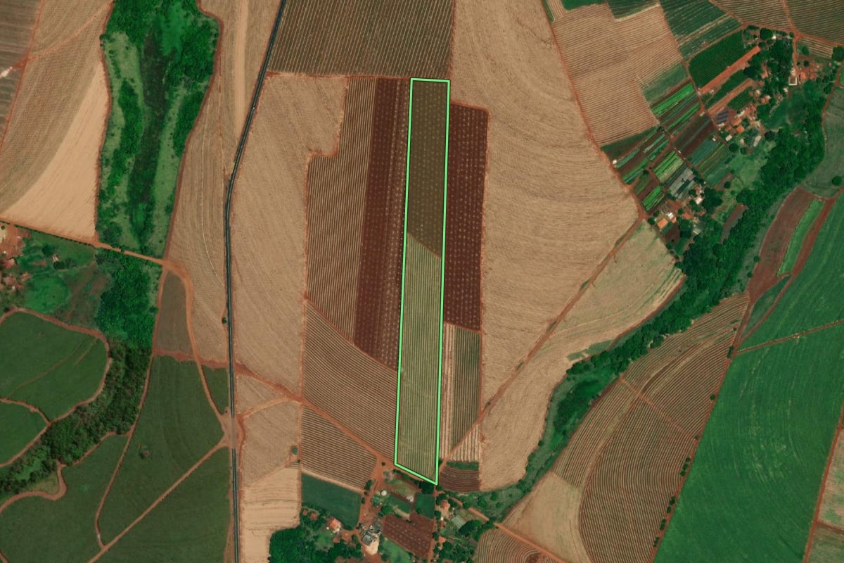 Imagem de satélite do imóvel rural em Jaú (SP), com o contorno declarado no CAR desenhado por cima.