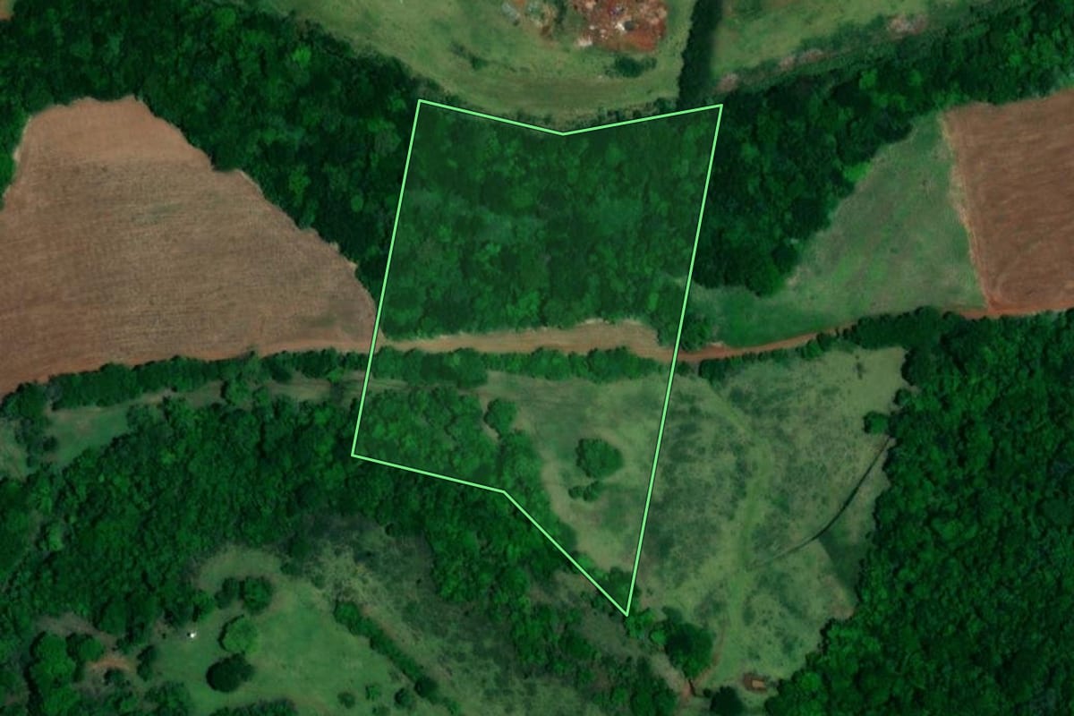 Imagem de satélite do imóvel rural em Jaú (SP), com o contorno declarado no CAR desenhado por cima.