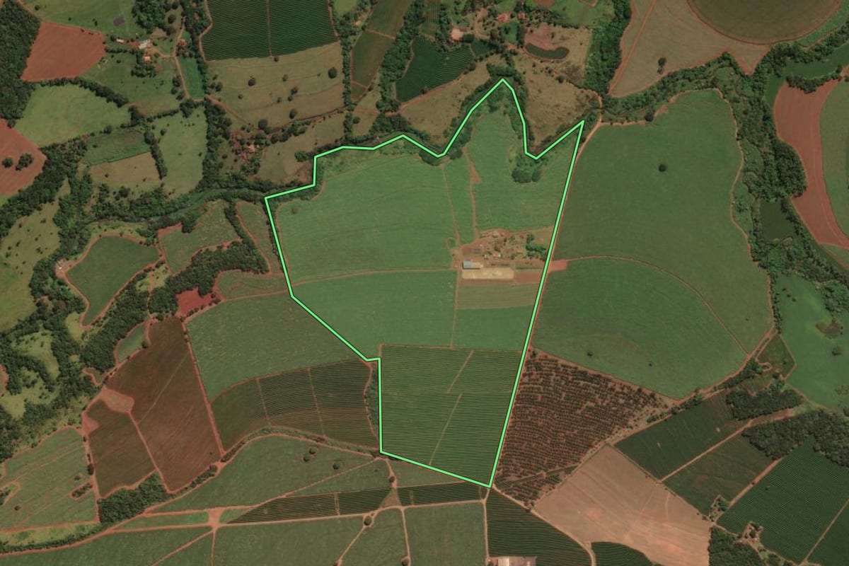 Imagem de satélite do imóvel rural em Jeriquara (SP), com o contorno declarado no CAR desenhado por cima.