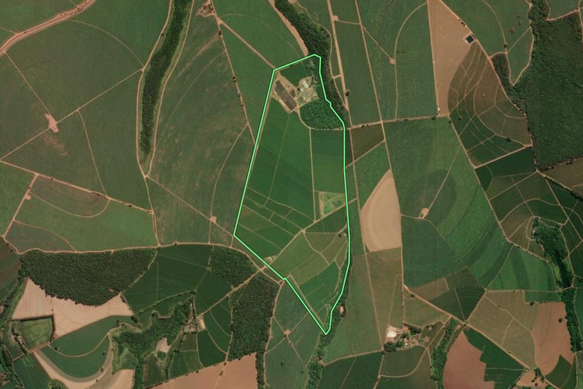 Imagem de satélite do imóvel rural em Jeriquara (SP), com o contorno declarado no CAR desenhado por cima.
