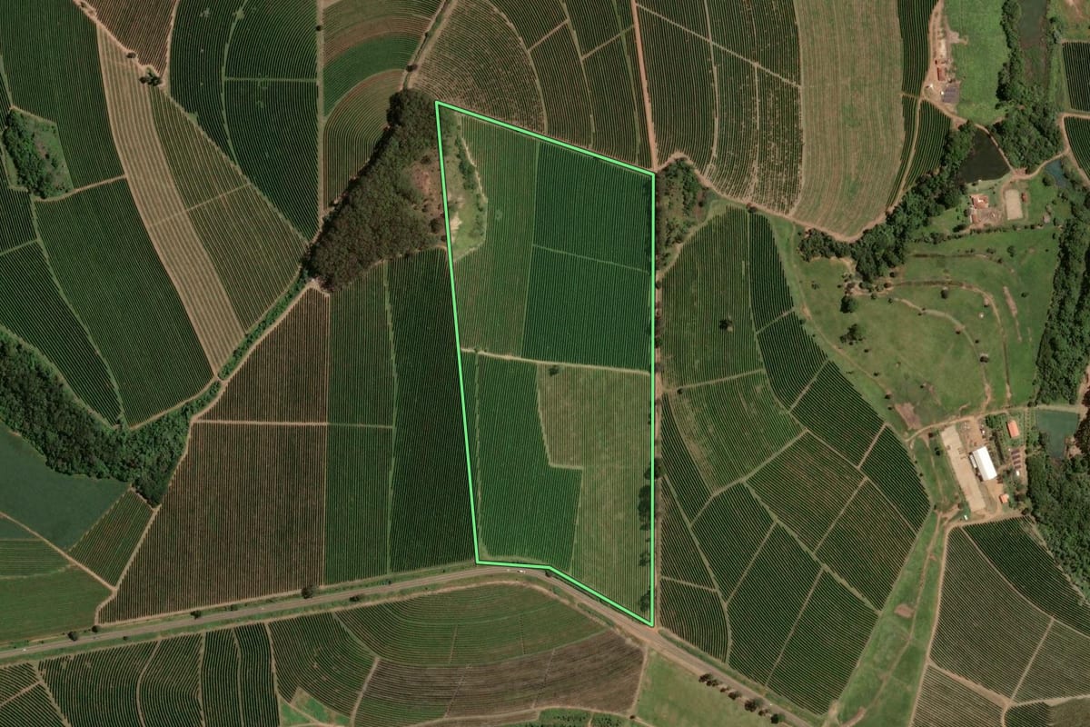 Imagem de satélite do imóvel rural em Jeriquara (SP), com o contorno declarado no CAR desenhado por cima.