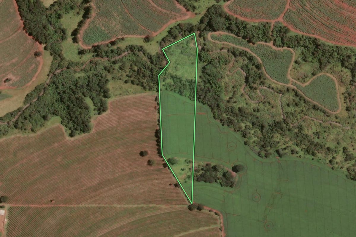 Imagem de satélite do imóvel rural em Jeriquara (SP), com o contorno declarado no CAR desenhado por cima.