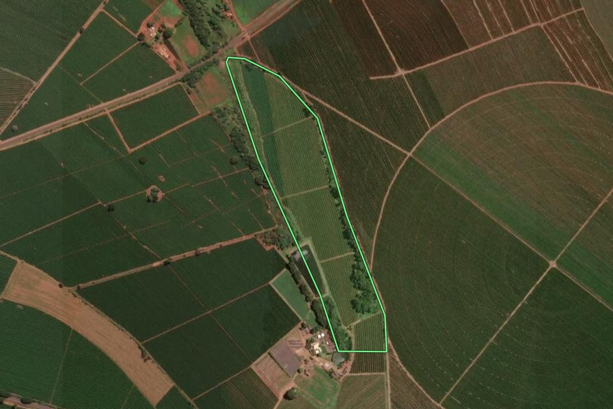 Imagem de satélite do imóvel rural em Jeriquara (SP), com o contorno declarado no CAR desenhado por cima.