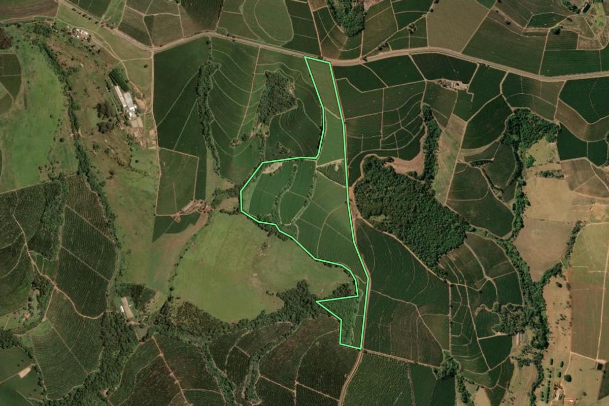 Imagem de satélite do imóvel rural em Jeriquara (SP), com o contorno declarado no CAR desenhado por cima.