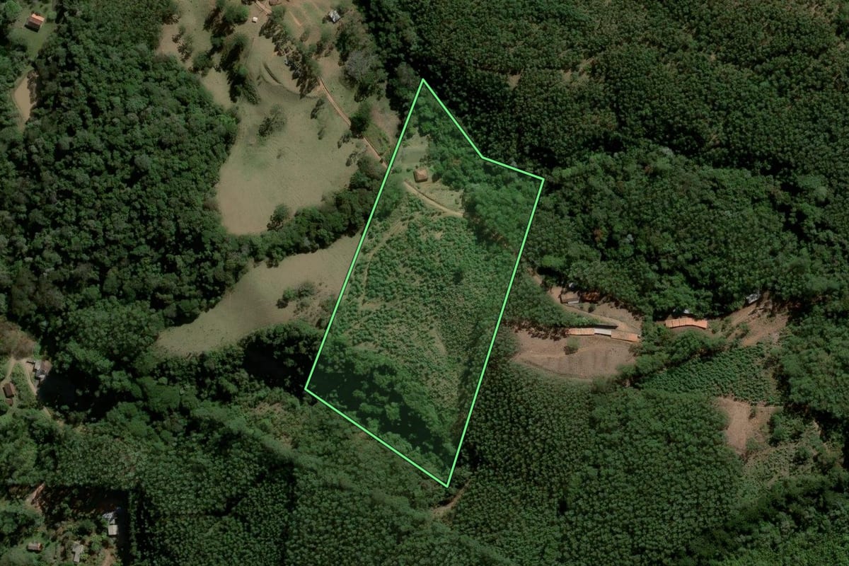 Imagem de satélite do imóvel rural em Joanópolis (SP), com o contorno declarado no CAR desenhado por cima.