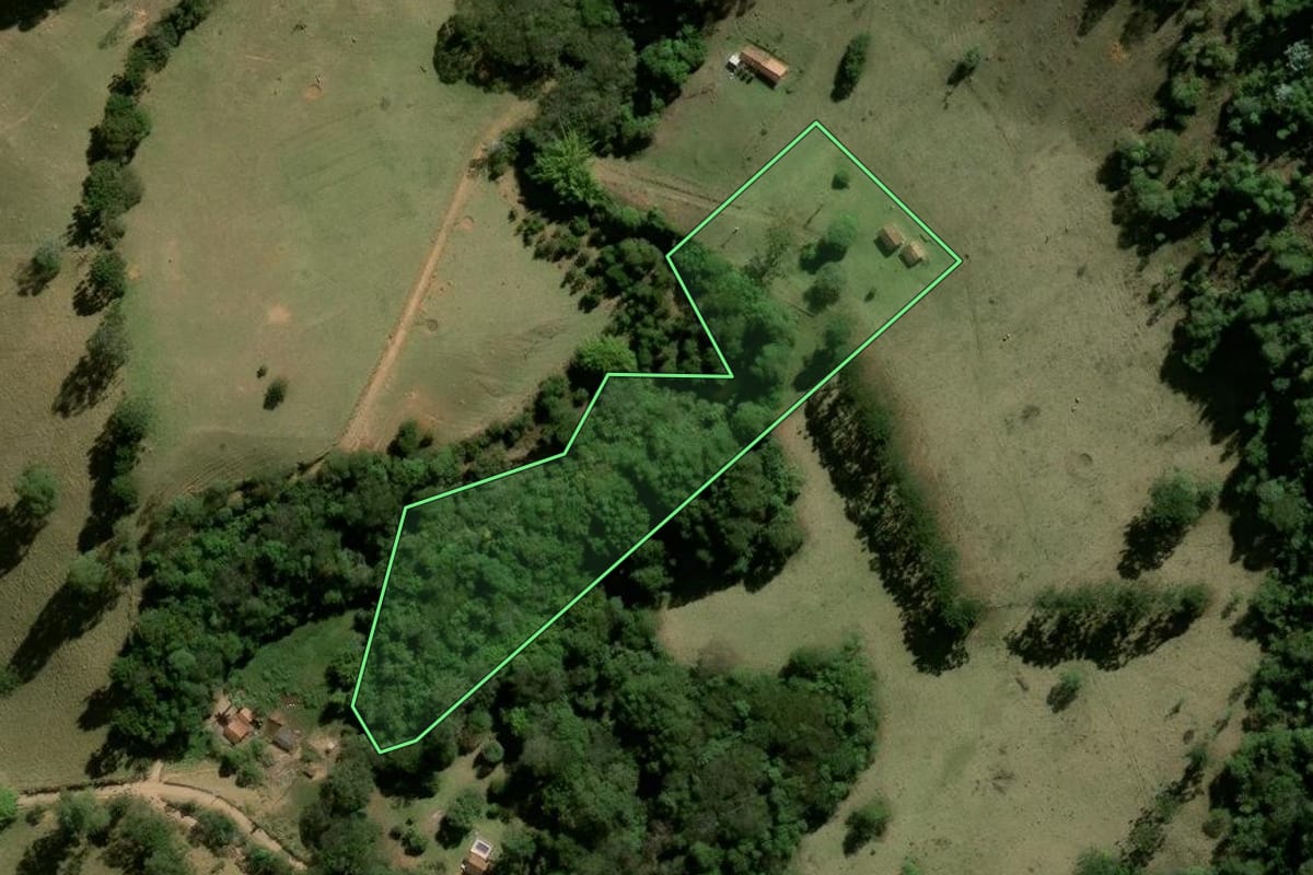 Imagem de satélite do imóvel rural em Joanópolis (SP), com o contorno declarado no CAR desenhado por cima.