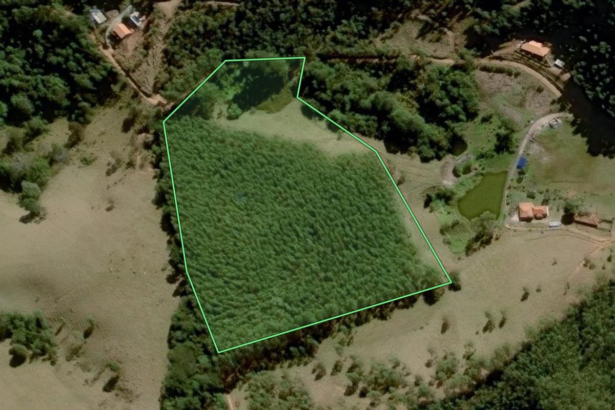 Imagem de satélite do imóvel rural em Joanópolis (SP), com o contorno declarado no CAR desenhado por cima.