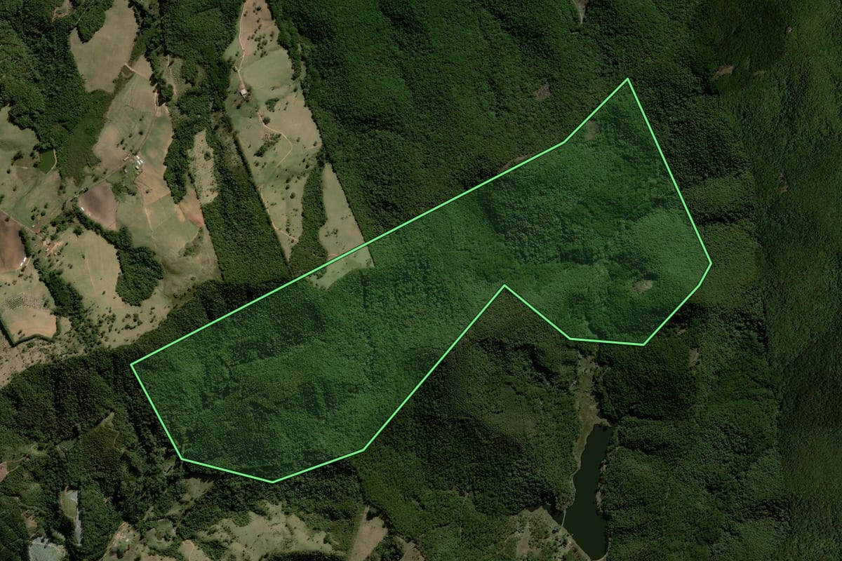 Imagem de satélite do imóvel rural em Joanópolis (SP), com o contorno declarado no CAR desenhado por cima.