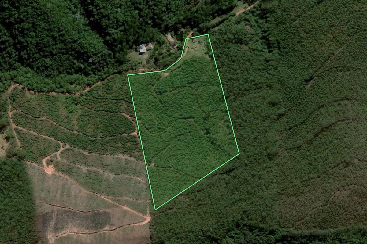 Imagem de satélite do imóvel rural em Joanópolis (SP), com o contorno declarado no CAR desenhado por cima.