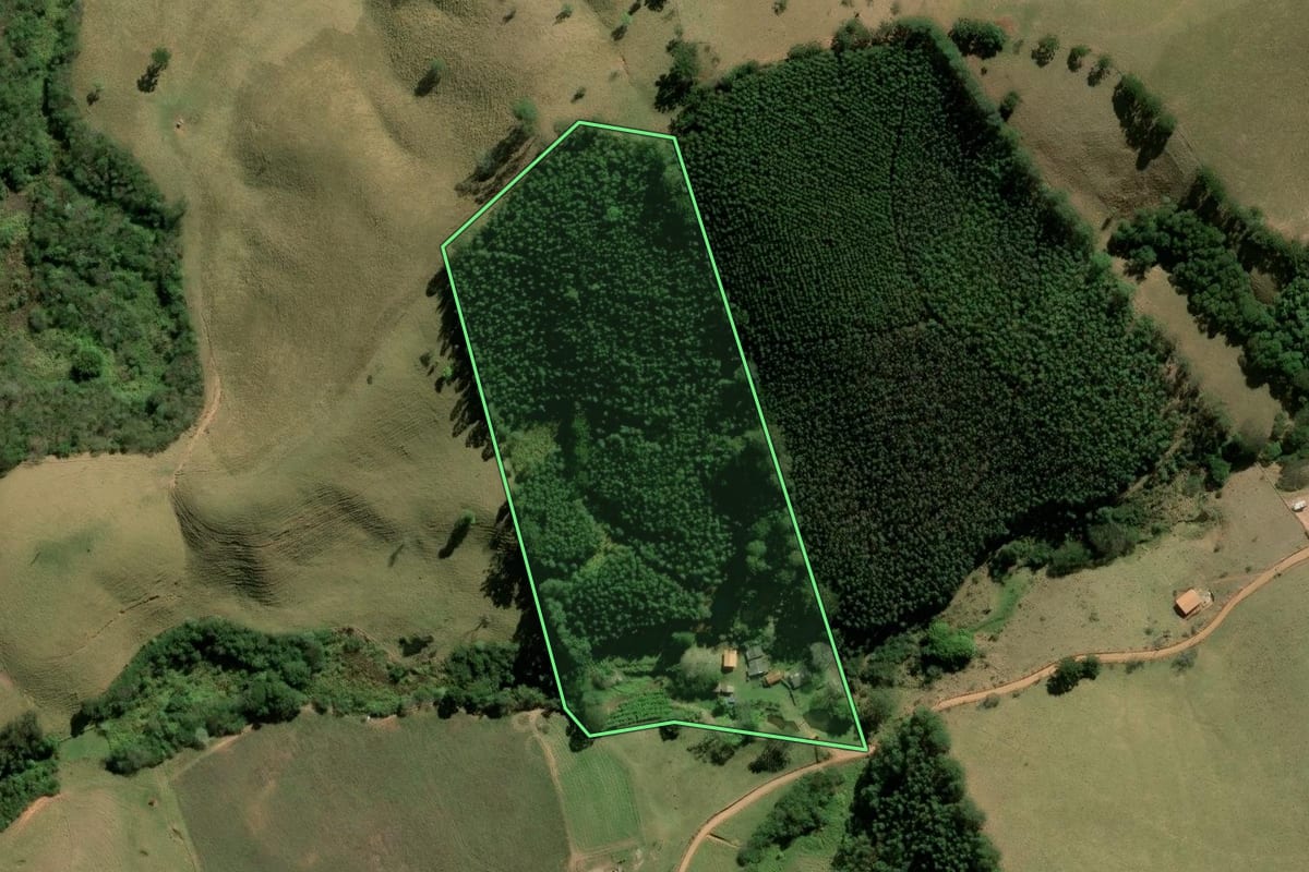 Imagem de satélite do imóvel rural em Joanópolis (SP), com o contorno declarado no CAR desenhado por cima.