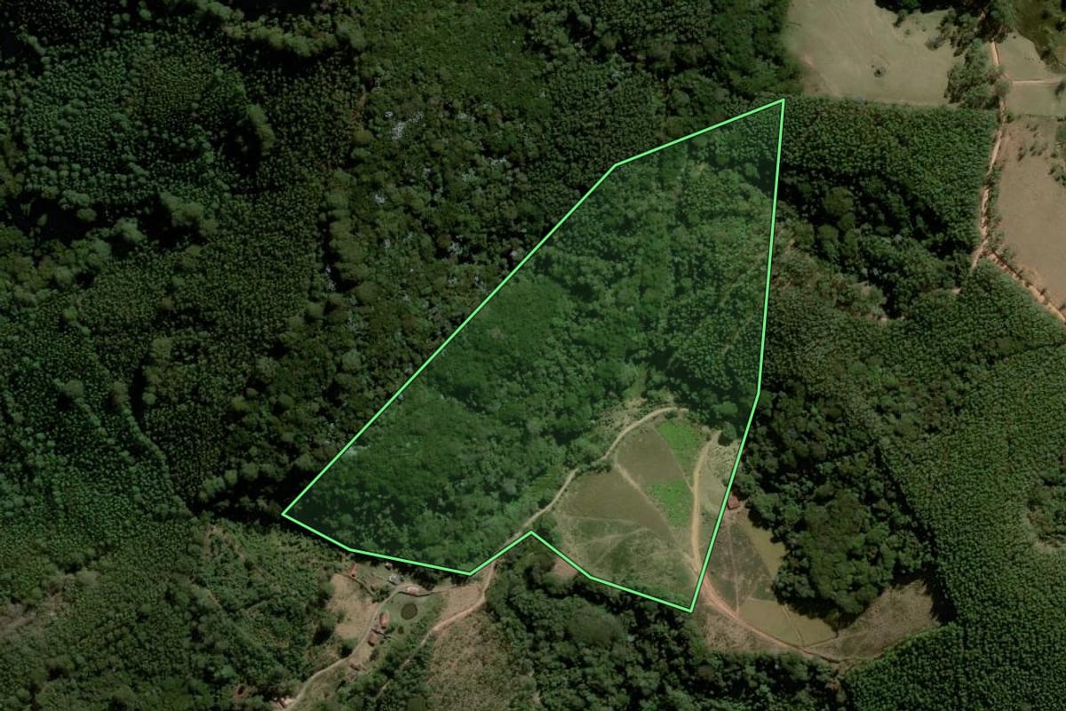 Imagem de satélite do imóvel rural em Joanópolis (SP), com o contorno declarado no CAR desenhado por cima.