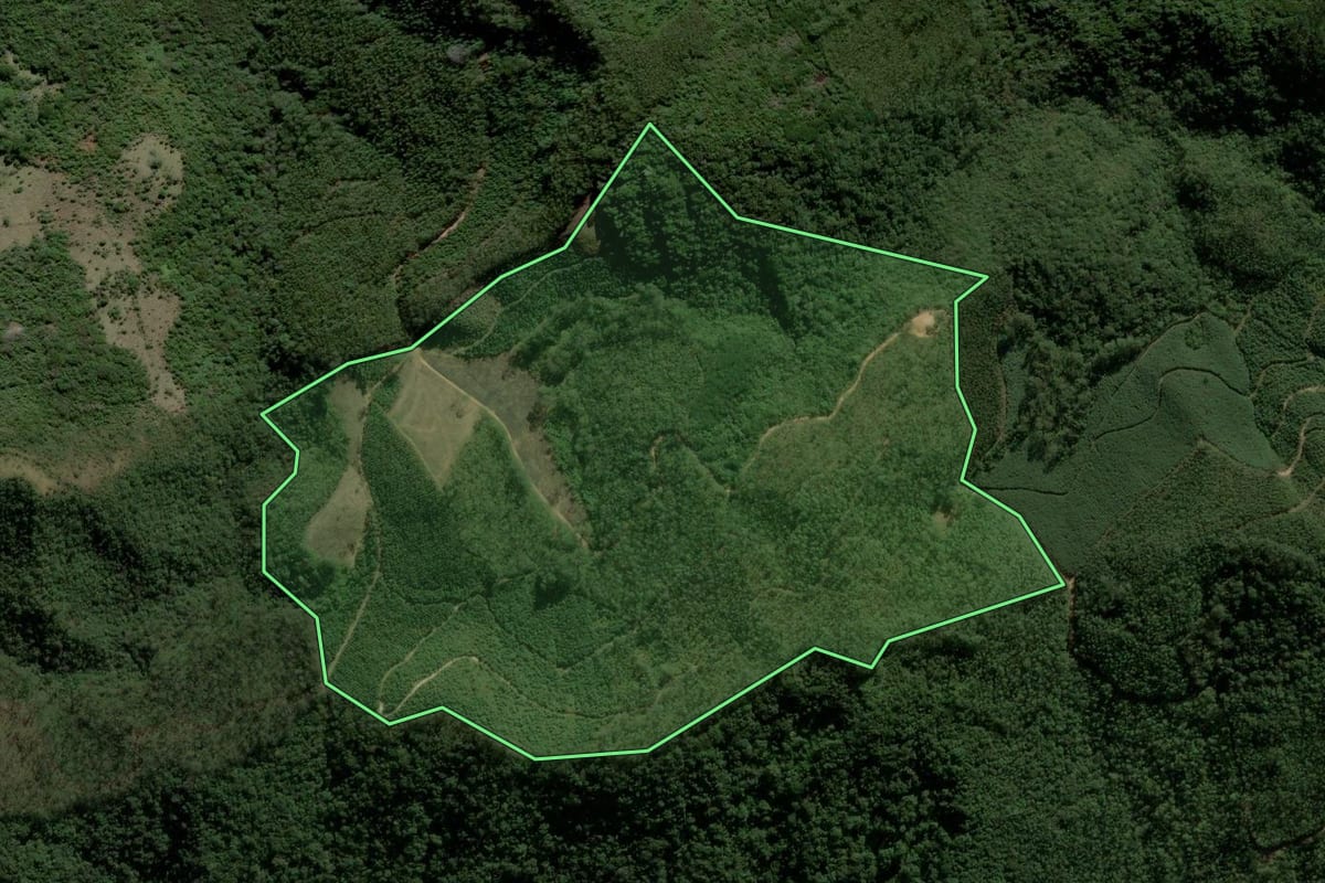 Imagem de satélite do imóvel rural em Joanópolis (SP), com o contorno declarado no CAR desenhado por cima.