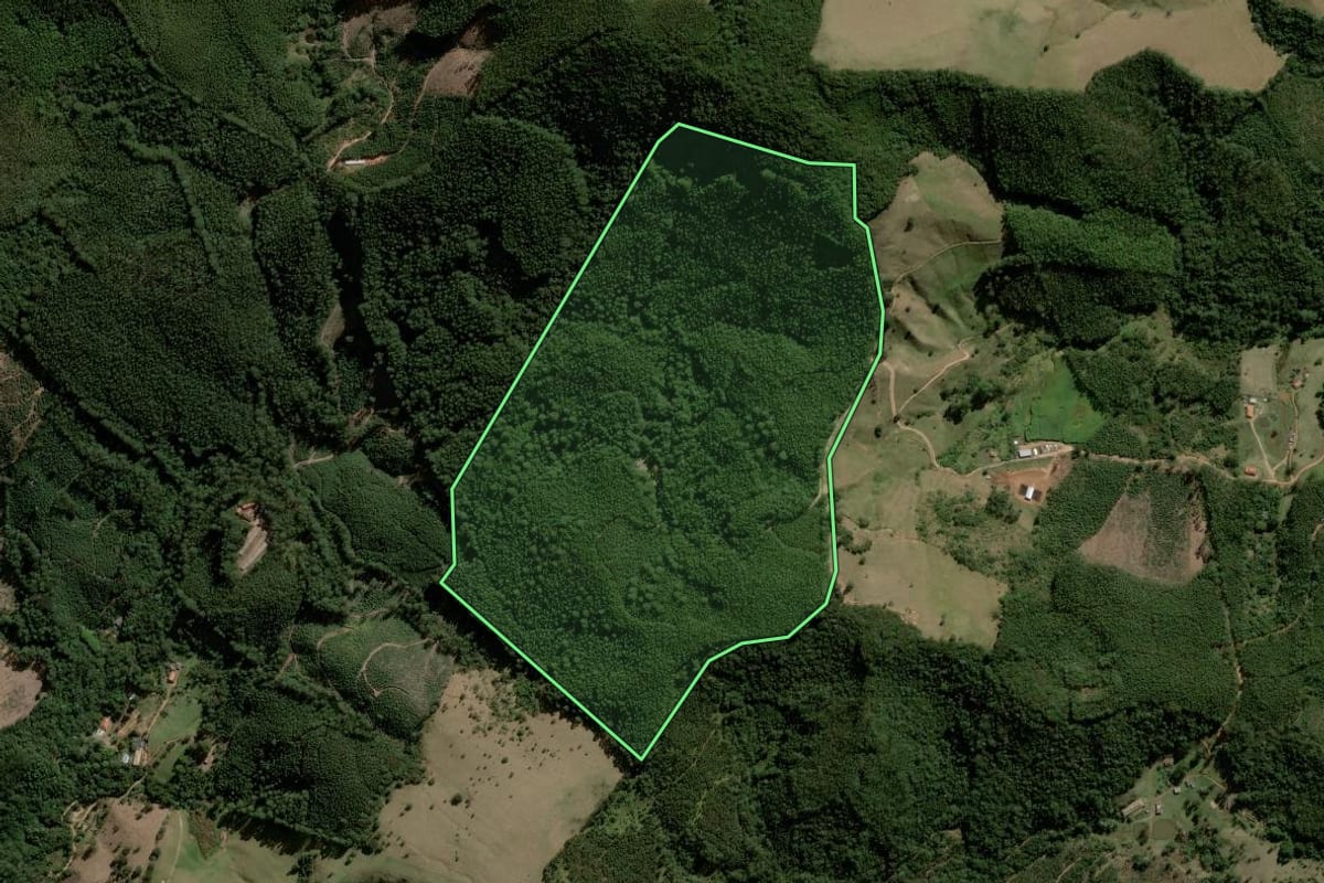 Imagem de satélite do imóvel rural em Joanópolis (SP), com o contorno declarado no CAR desenhado por cima.