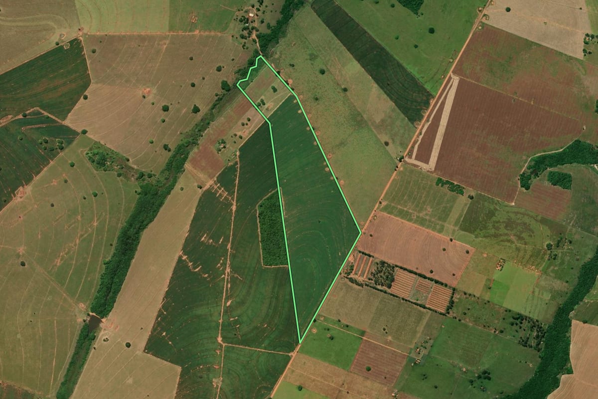 Imagem de satélite do imóvel rural em João Ramalho (SP), com o contorno declarado no CAR desenhado por cima.