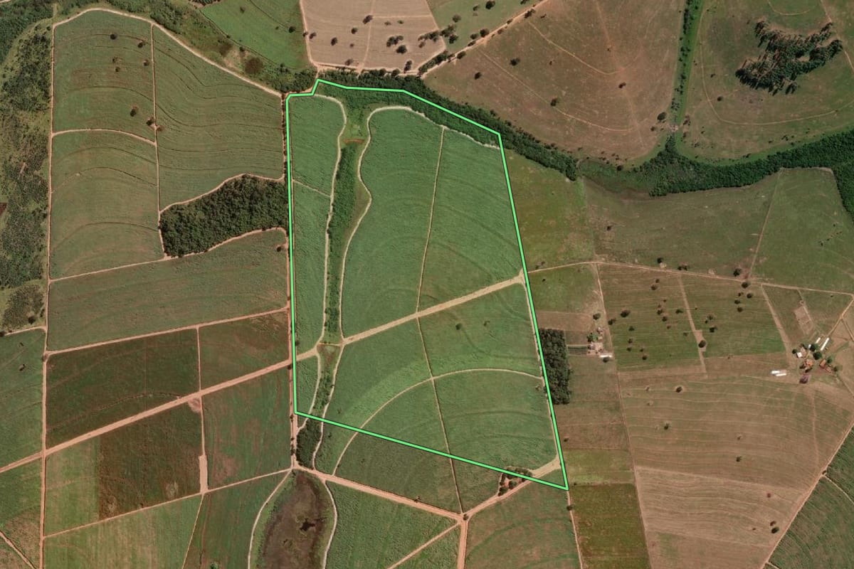 Imagem de satélite do imóvel rural em José Bonifácio (SP), com o contorno declarado no CAR desenhado por cima.