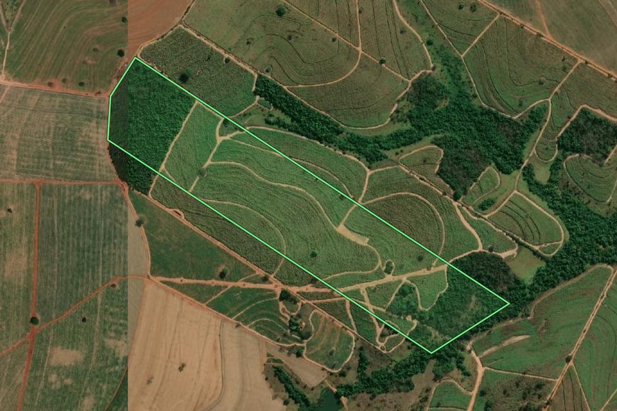 Imagem de satélite do imóvel rural em José Bonifácio (SP), com o contorno declarado no CAR desenhado por cima.