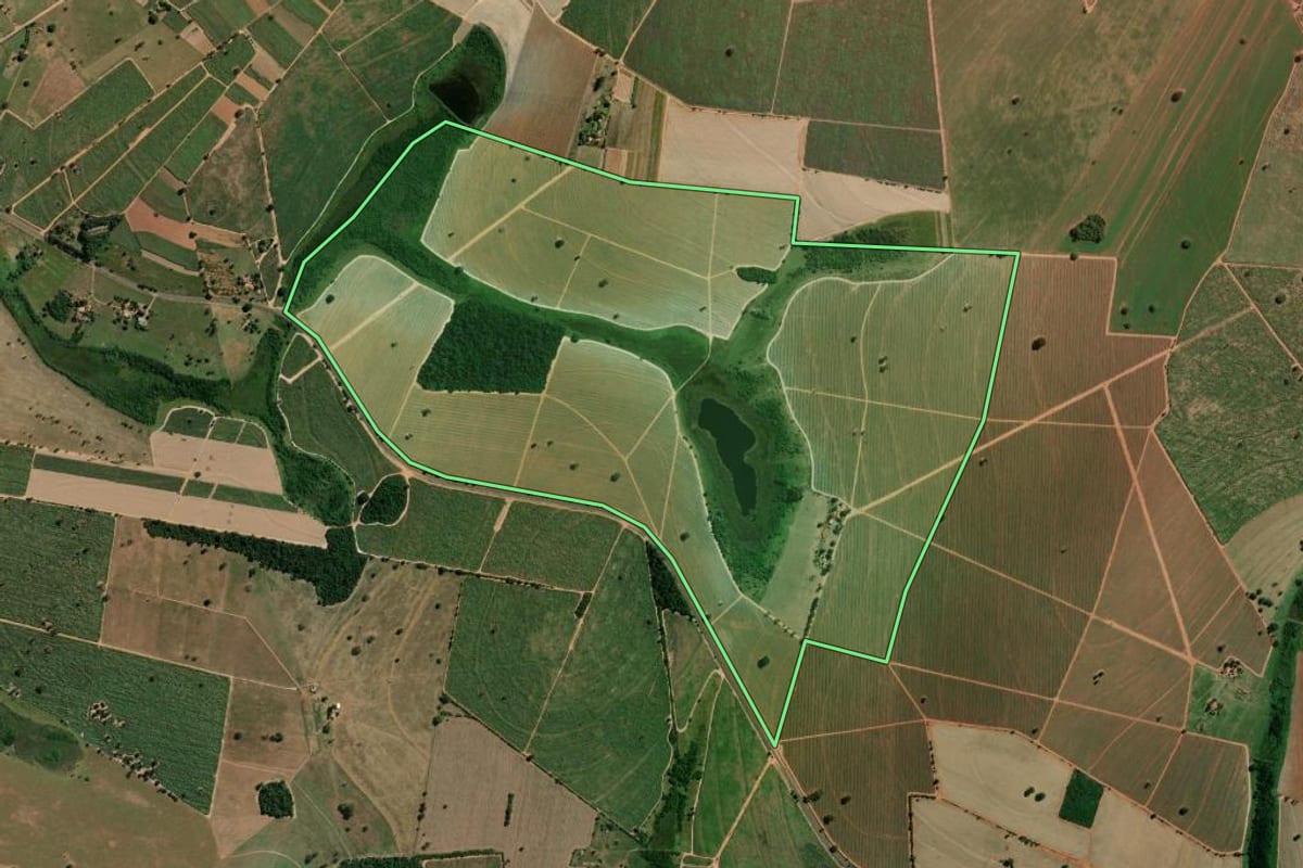 Imagem de satélite do imóvel rural em José Bonifácio (SP), com o contorno declarado no CAR desenhado por cima.