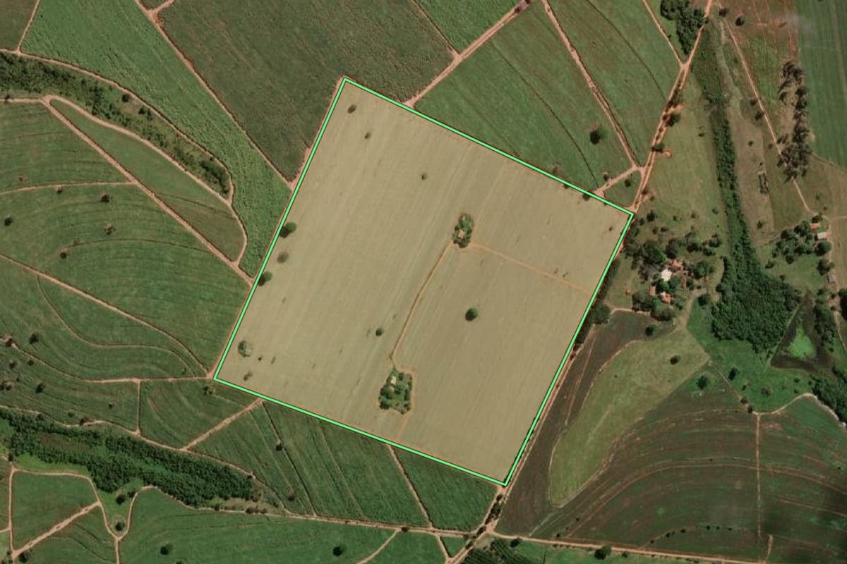 Imagem de satélite do imóvel rural em José Bonifácio (SP), com o contorno declarado no CAR desenhado por cima.