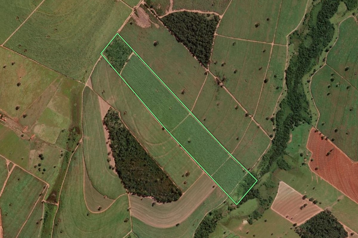 Imagem de satélite do imóvel rural em José Bonifácio (SP), com o contorno declarado no CAR desenhado por cima.