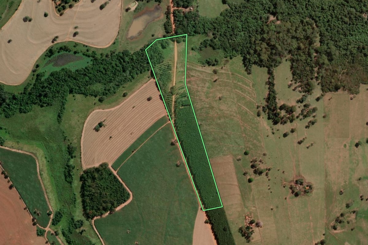 Imagem de satélite do imóvel rural em José Bonifácio (SP), com o contorno declarado no CAR desenhado por cima.