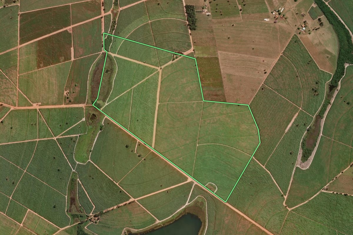 Imagem de satélite do imóvel rural em José Bonifácio (SP), com o contorno declarado no CAR desenhado por cima.