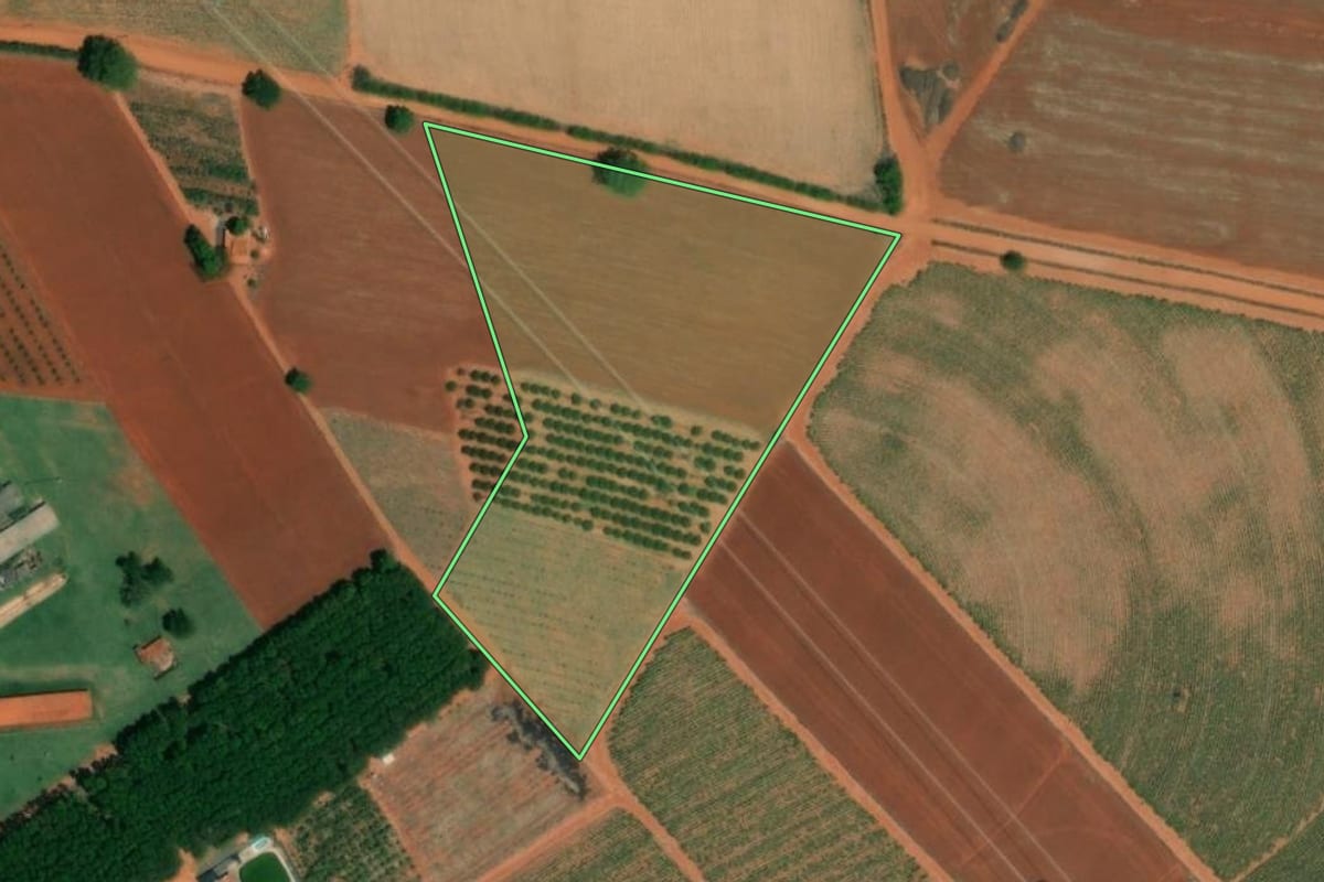 Imagem de satélite do imóvel rural em José Bonifácio (SP), com o contorno declarado no CAR desenhado por cima.