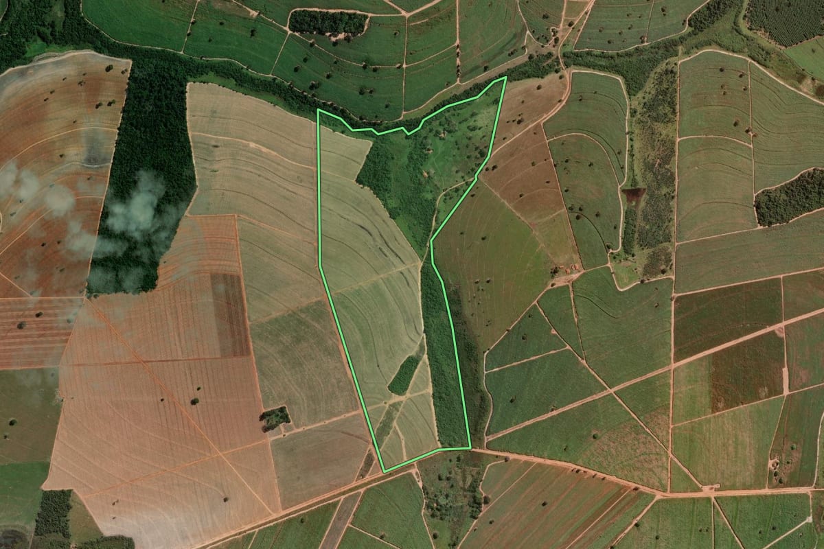 Imagem de satélite do imóvel rural em José Bonifácio (SP), com o contorno declarado no CAR desenhado por cima.