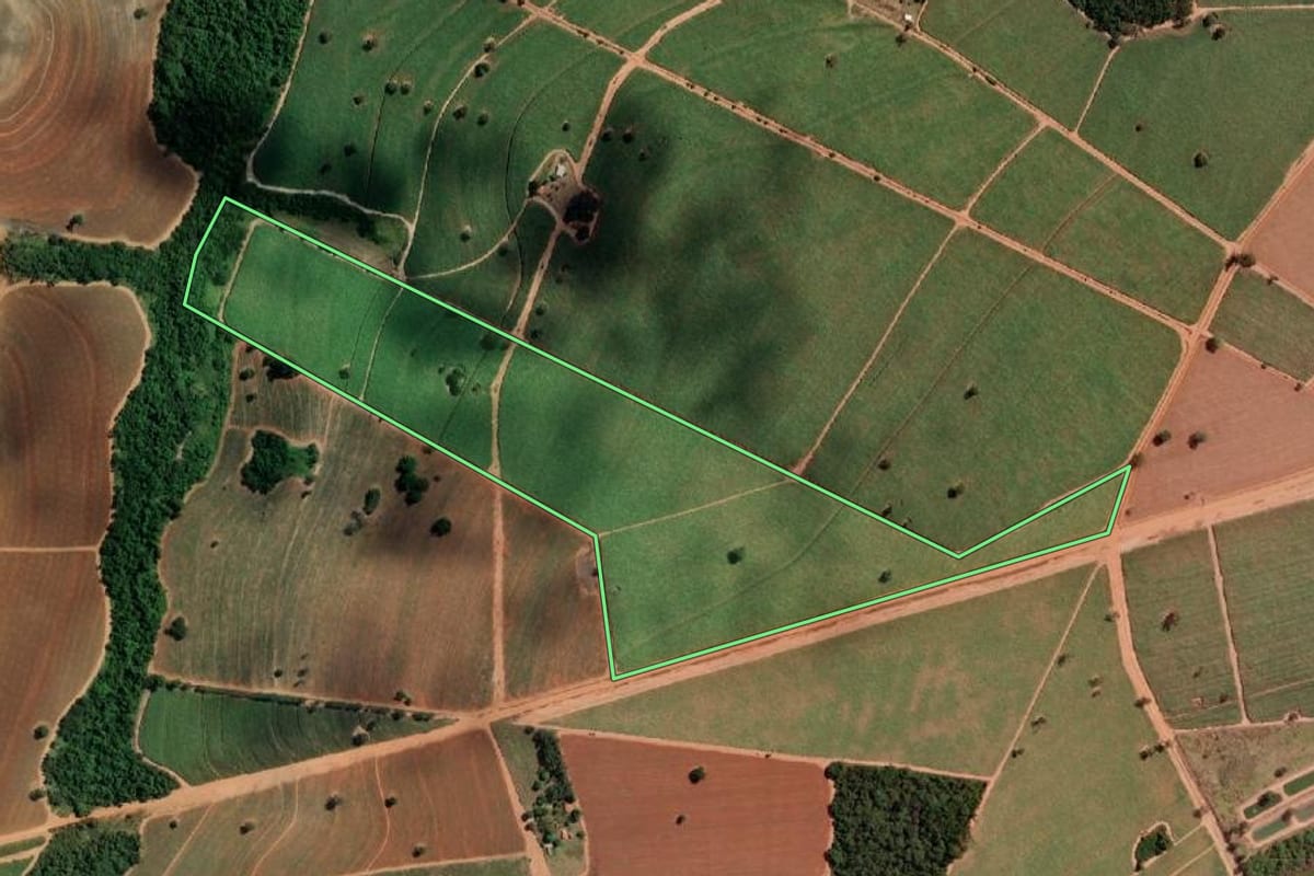 Imagem de satélite do imóvel rural em José Bonifácio (SP), com o contorno declarado no CAR desenhado por cima.