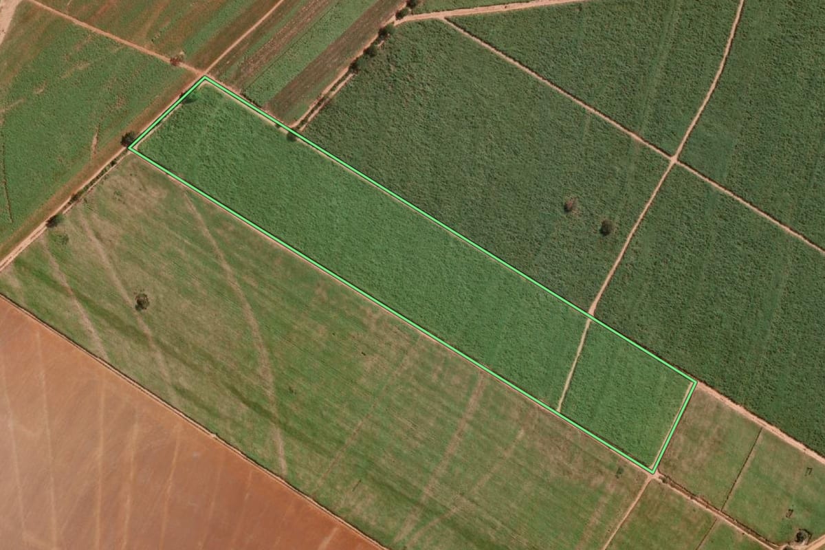 Imagem de satélite do imóvel rural em José Bonifácio (SP), com o contorno declarado no CAR desenhado por cima.