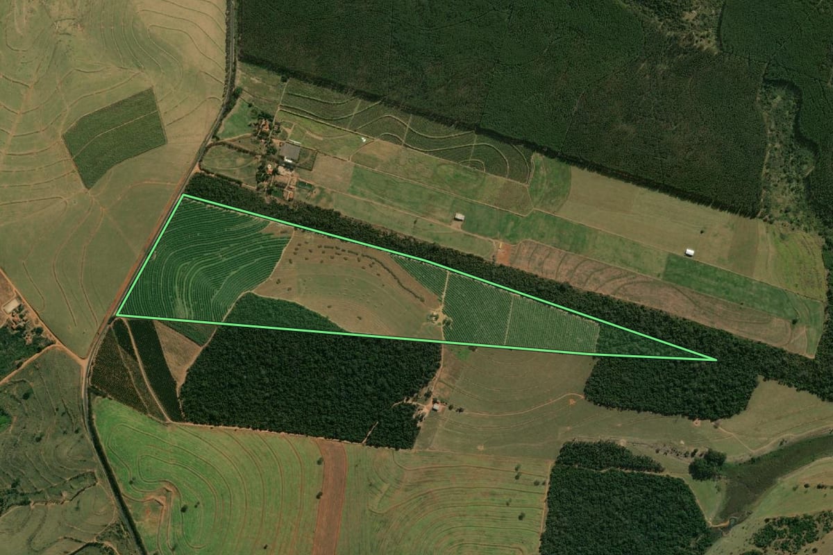 Imagem de satélite do imóvel rural em Júlio Mesquita (SP), com o contorno declarado no CAR desenhado por cima.