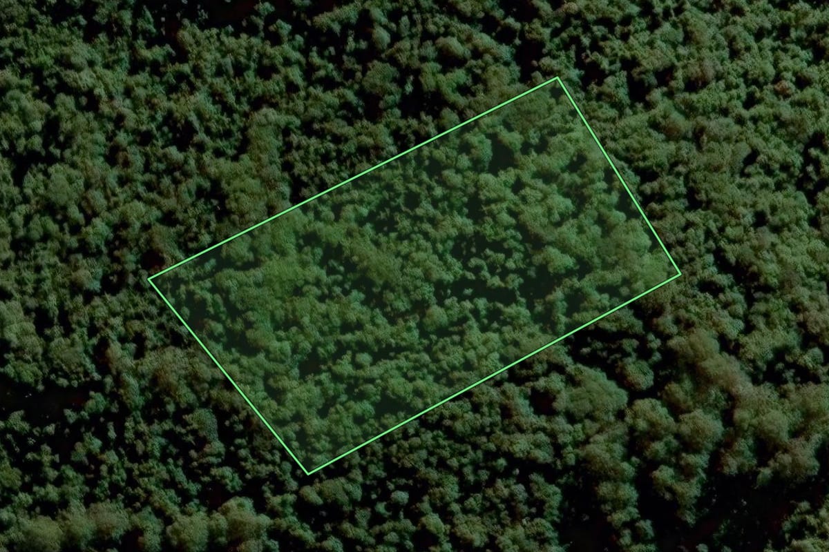 Imagem de satélite do imóvel rural em Jundiaí (SP), com o contorno declarado no CAR desenhado por cima.