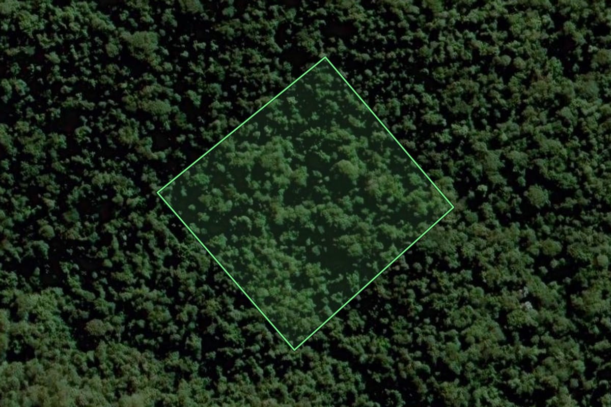 Imagem de satélite do imóvel rural em Jundiaí (SP), com o contorno declarado no CAR desenhado por cima.