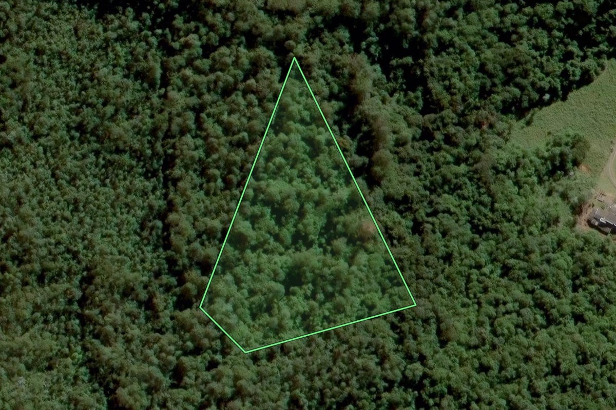 Imagem de satélite do imóvel rural em Jundiaí (SP), com o contorno declarado no CAR desenhado por cima.