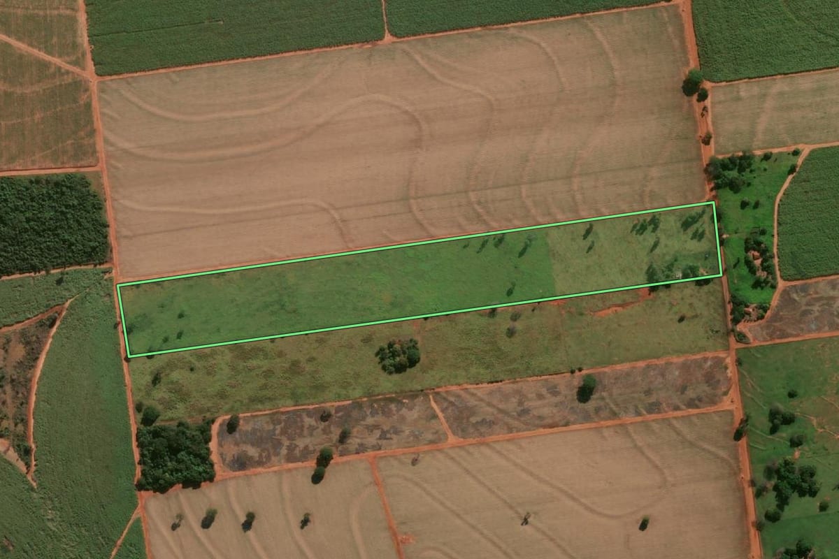 Imagem de satélite do imóvel rural em Junqueirópolis (SP), com o contorno declarado no CAR desenhado por cima.