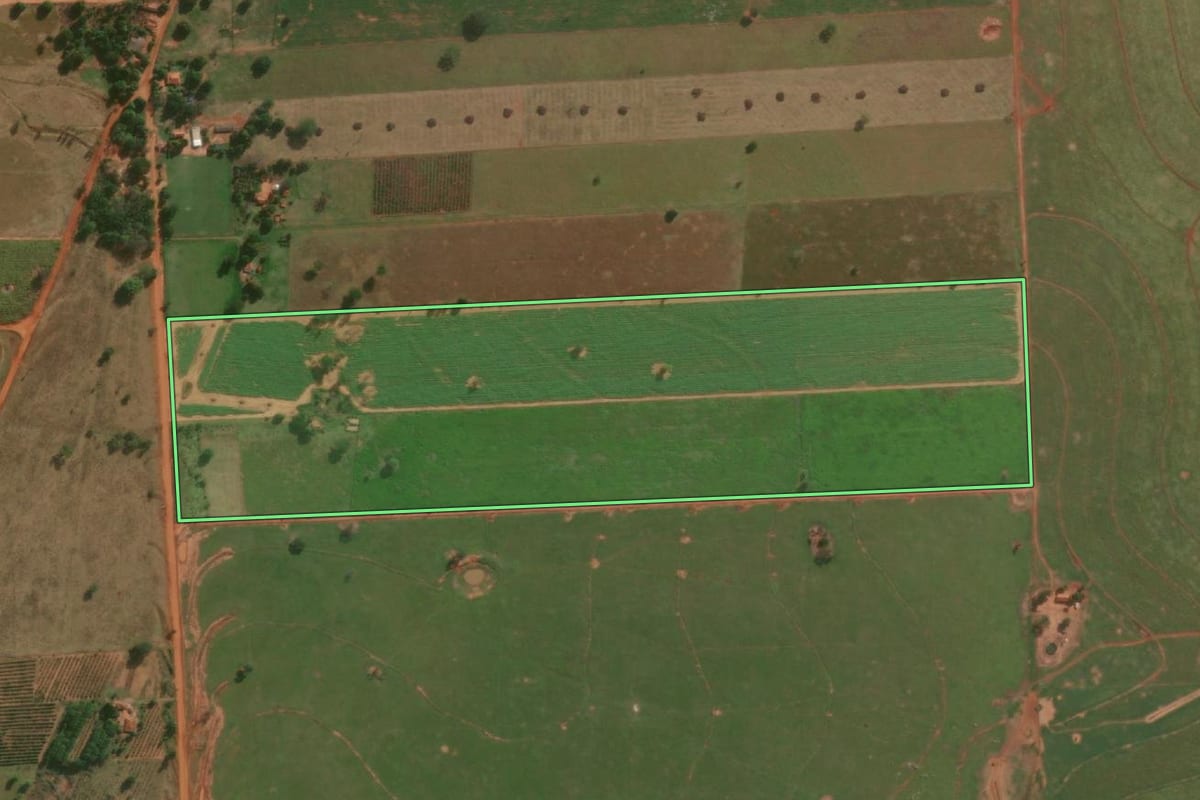 Imagem de satélite do imóvel rural em Junqueirópolis (SP), com o contorno declarado no CAR desenhado por cima.
