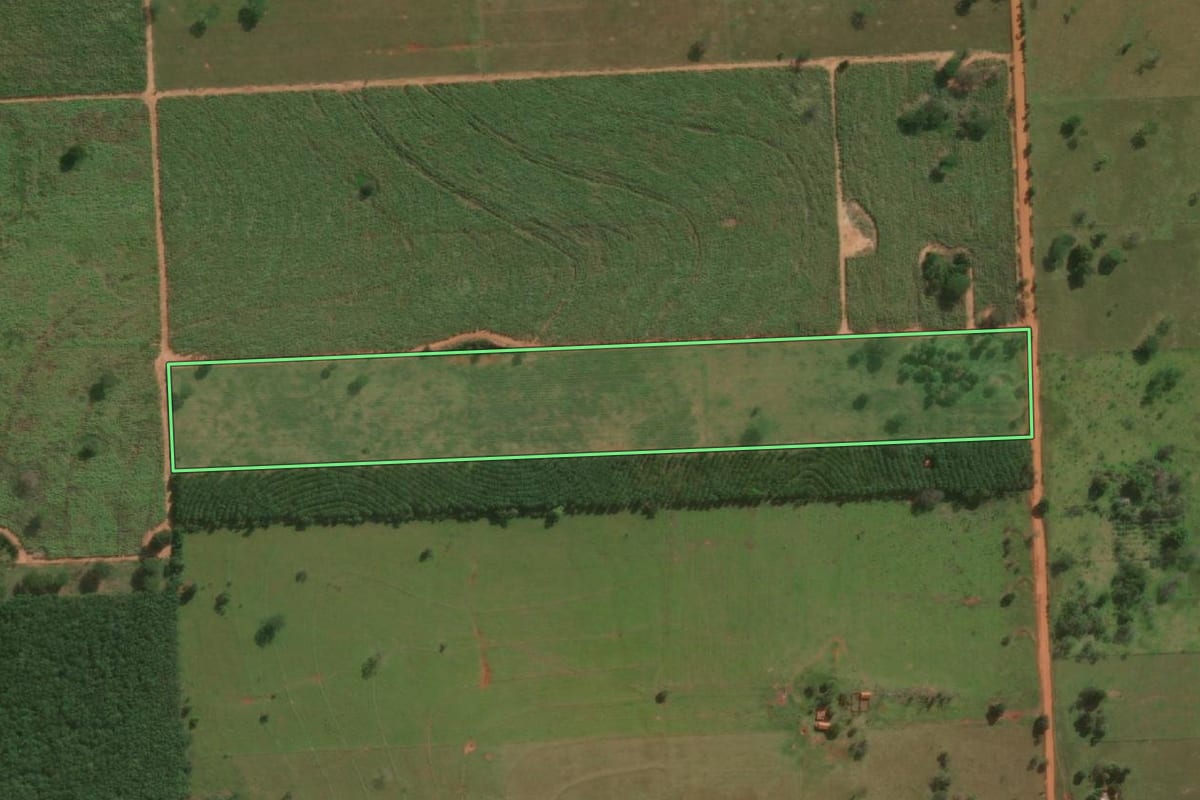 Imagem de satélite do imóvel rural em Junqueirópolis (SP), com o contorno declarado no CAR desenhado por cima.