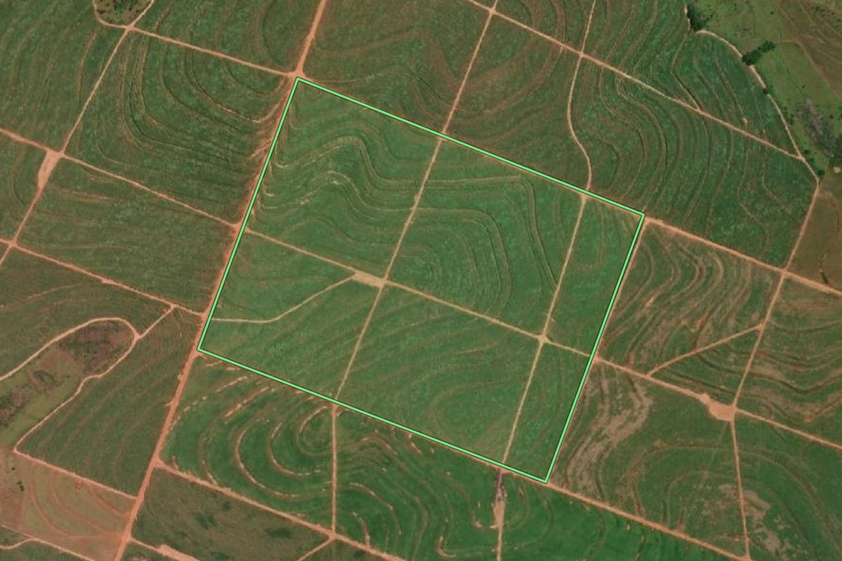 Imagem de satélite do imóvel rural em Junqueirópolis (SP), com o contorno declarado no CAR desenhado por cima.