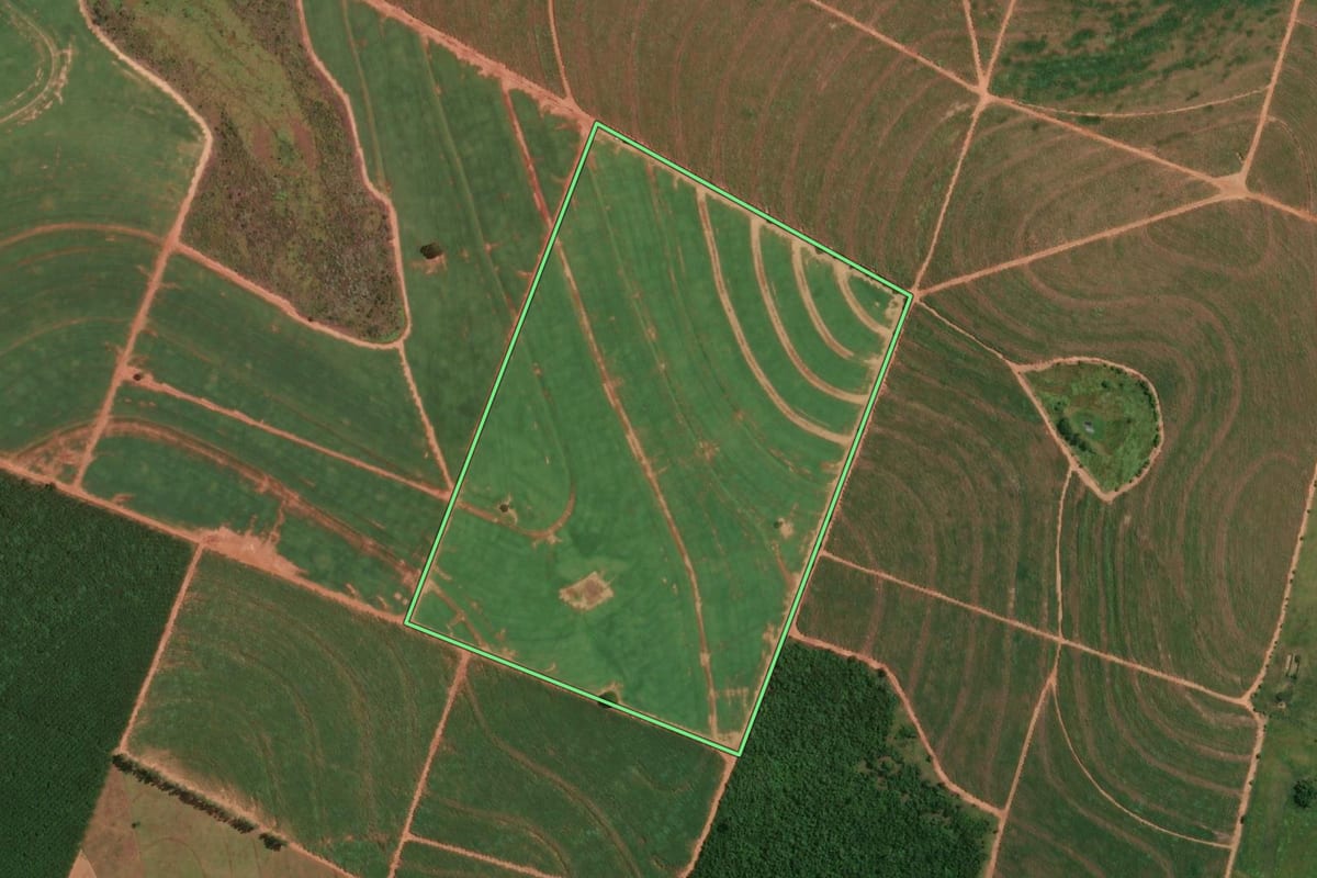 Imagem de satélite do imóvel rural em Junqueirópolis (SP), com o contorno declarado no CAR desenhado por cima.