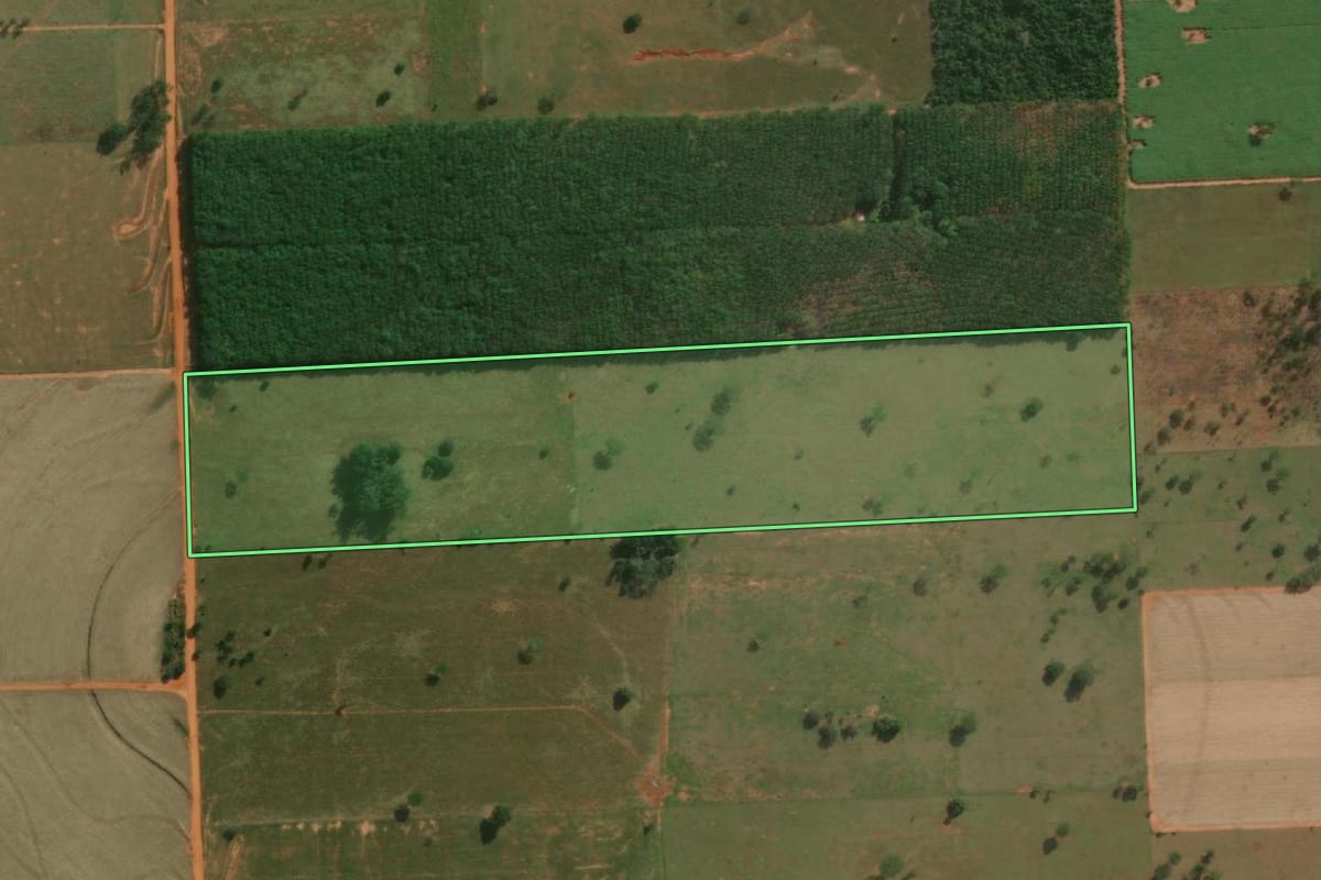 Imagem de satélite do imóvel rural em Junqueirópolis (SP), com o contorno declarado no CAR desenhado por cima.