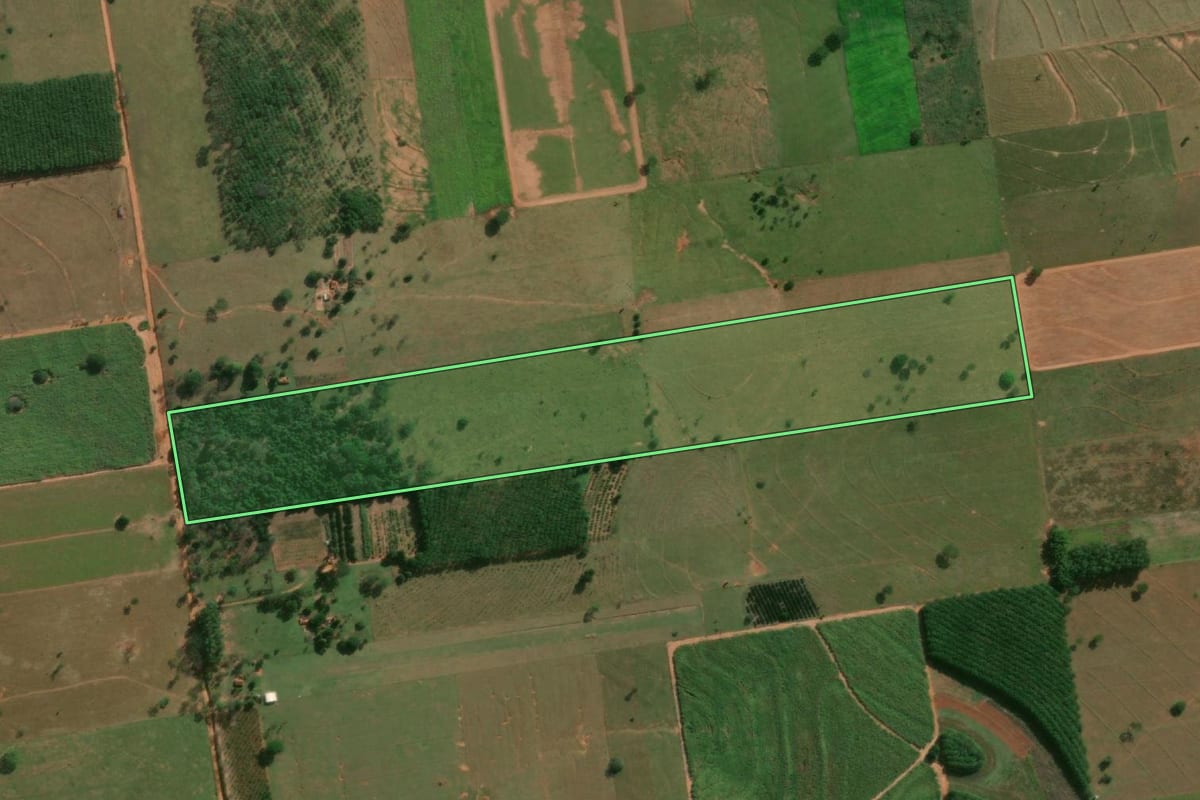 Imagem de satélite do imóvel rural em Junqueirópolis (SP), com o contorno declarado no CAR desenhado por cima.
