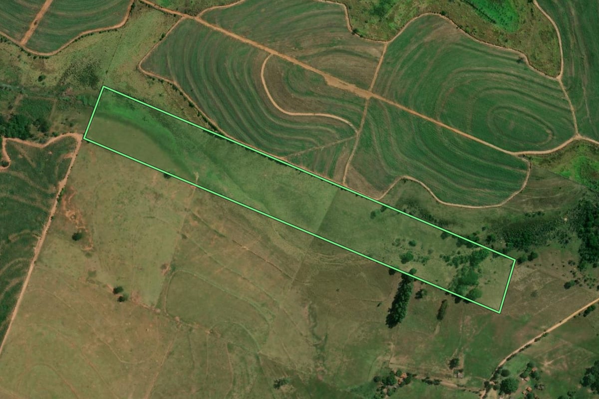 Imagem de satélite do imóvel rural em Junqueirópolis (SP), com o contorno declarado no CAR desenhado por cima.
