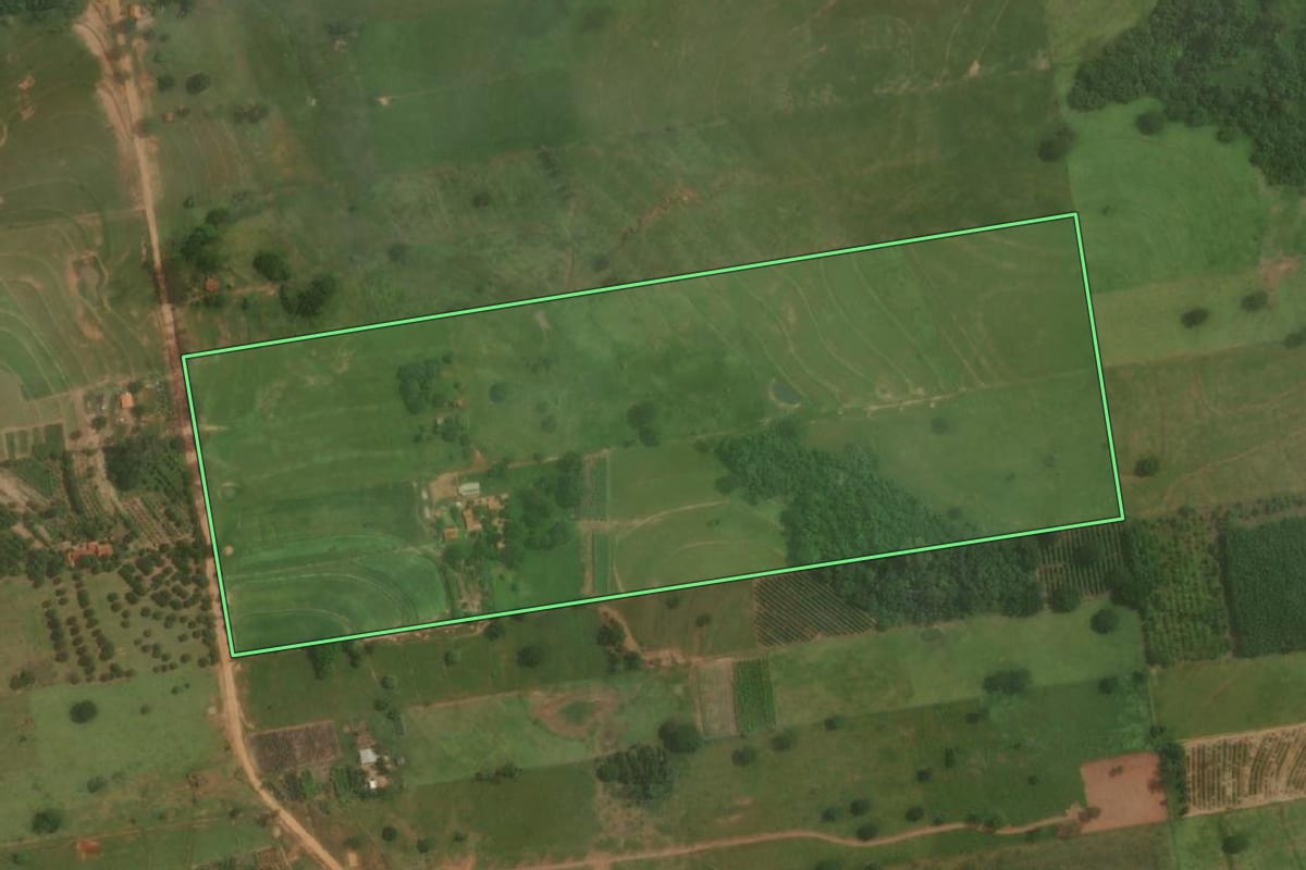 Imagem de satélite do imóvel rural em Junqueirópolis (SP), com o contorno declarado no CAR desenhado por cima.